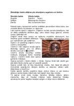 Konspekts 'Opera', 2.