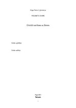 Referāts 'Globālā sasilšana uz zemes', 1.