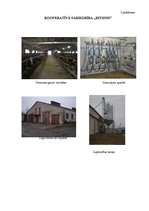 Referāts 'Uzņēmuma peļņas palielināšanas iespēju izpēte kooperatīvajā sabiedrībā "Ritenis"', 44.