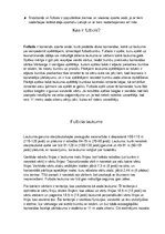 Konspekts 'Vasaras un ziemas sporta veidi', 4.