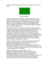 Konspekts 'Vasaras un ziemas sporta veidi', 5.