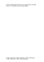 Konspekts 'Vasaras un ziemas sporta veidi', 10.