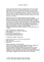 Konspekts 'Vasaras un ziemas sporta veidi', 11.