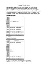 Konspekts 'Vasaras un ziemas sporta veidi', 12.