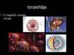 Prezentācija 'Hepatīts C', 2.