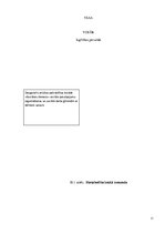 Eseja 'Sociālais gadījums', 11.