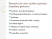 Prezentācija 'Traumatiskā krīze', 7.