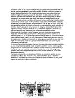 Referāts 'Savietotie jumti', 8.