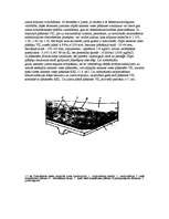 Referāts 'Savietotie jumti', 11.