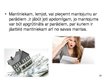 Prezentācija 'Mantojuma pieņemšana', 23.