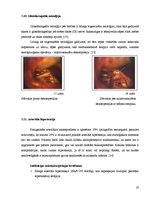 Referāts 'Neiroķirurģijas attīstības vēsture Paula Stradiņa klīniskās universitātes slimnī', 18.