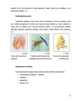 Referāts 'Neiroķirurģijas attīstības vēsture Paula Stradiņa klīniskās universitātes slimnī', 25.