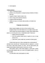 Referāts 'Ģimenes veidošanas tradīcijas islāmā', 7.