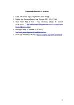 Referāts 'Ģimenes veidošanas tradīcijas islāmā', 11.