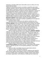 Konspekts 'Loģistika. Muitas noliktava, tās darbība', 5.