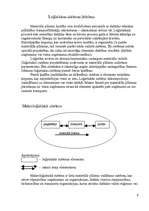 Konspekts 'Loģistika. Muitas noliktava, tās darbība', 7.