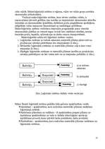 Konspekts 'Loģistika. Muitas noliktava, tās darbība', 8.