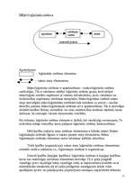 Konspekts 'Loģistika. Muitas noliktava, tās darbība', 9.