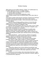 Konspekts 'Loģistika. Muitas noliktava, tās darbība', 14.