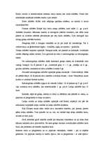 Referāts 'Rakstu valoda', 4.