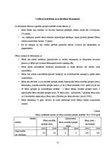 Referāts 'Bērnu aprūpe bērnunamā "Ilga" un bērnunamā "Saulespuķe"', 18.