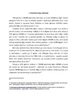 Referāts 'Palestīniešu bēgļu problēma pēc Izraēlas izveidošanas 1948.gadā', 11.