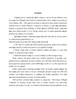 Referāts 'Palestīniešu bēgļu problēma pēc Izraēlas izveidošanas 1948.gadā', 13.