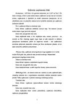 Referāts 'A/s "Bite Latvija" risku analīze', 5.