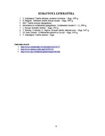 Referāts 'Paražu tiesības', 15.