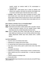 Referāts 'Viesnīcas "Islande Hotel" izpēte', 11.