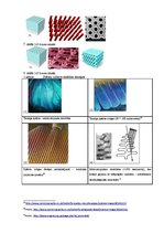 Referāts 'Zilā taurenīša optika', 10.