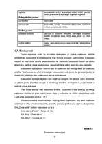 Biznesa plāns 'Biznesa plāns ziedu veikalam "Saules zieds"', 9.