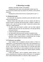 Biznesa plāns 'Biznesa plāns ziedu veikalam "Saules zieds"', 11.