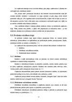 Biznesa plāns 'Biznesa plāns ziedu veikalam "Saules zieds"', 12.