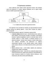 Biznesa plāns 'Biznesa plāns ziedu veikalam "Saules zieds"', 20.