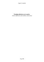 Referāts 'Enerģijas dzērieni un to sastāvs', 1.