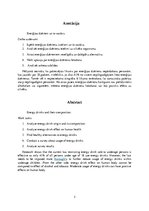 Referāts 'Enerģijas dzērieni un to sastāvs', 2.