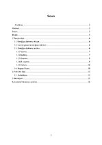 Referāts 'Enerģijas dzērieni un to sastāvs', 3.