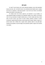 Referāts 'Kādu tūrisma uzņēmumu es veidotu?', 2.