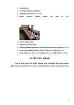 Referāts 'Kādu tūrisma uzņēmumu es veidotu?', 4.