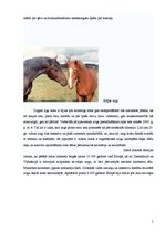 Referāts 'Kādu tūrisma uzņēmumu es veidotu?', 5.