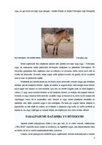 Referāts 'Kādu tūrisma uzņēmumu es veidotu?', 6.