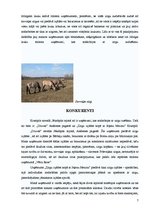 Referāts 'Kādu tūrisma uzņēmumu es veidotu?', 7.