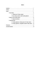 Referāts 'Indivīda un pasaules attiecību tēlojums Paulu Koelju daiļradē', 2.