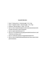 Referāts 'Indivīda un pasaules attiecību tēlojums Paulu Koelju daiļradē', 24.