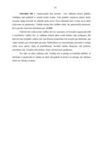 Prakses atskaite 'Kvalifikācijas prakse biroja darba organizēšanā un vadīšanā', 8.