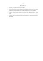 Prakses atskaite 'Kvalifikācijas prakse biroja darba organizēšanā un vadīšanā', 22.