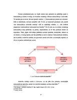 Diplomdarbs 'Priekšapmaksas mobilo sakaru pakalpojumu "Zelta zivtiņa" zīmola vadība', 14.