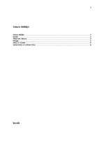 Referāts 'Rēzeknes pilsētas kultūras un cits raksturojums', 2.