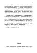 Referāts 'Rēzeknes pilsētas kultūras un cits raksturojums', 7.